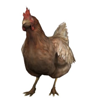 CS:GO Chicken